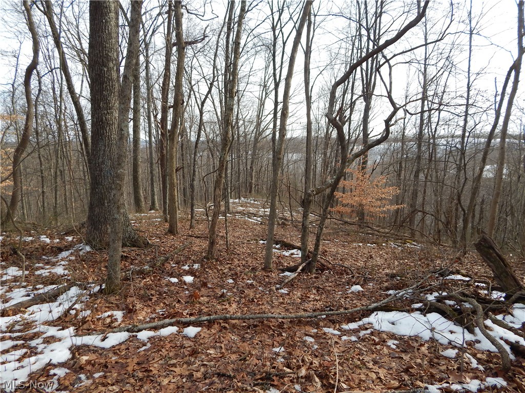 Fingerboard Road Big Springs, WV 26137 - Photo 15 of 21