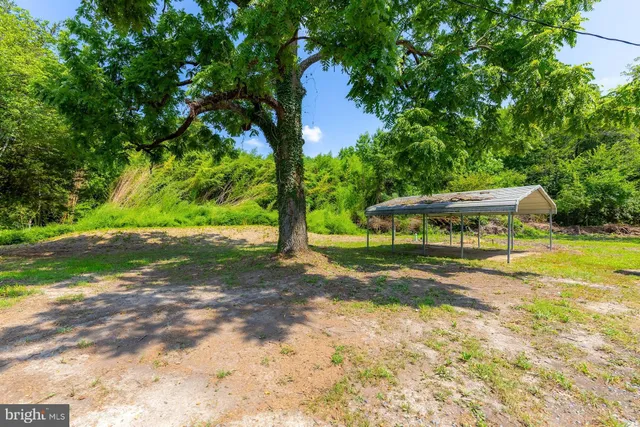 a view of a yard with plants and a small yard