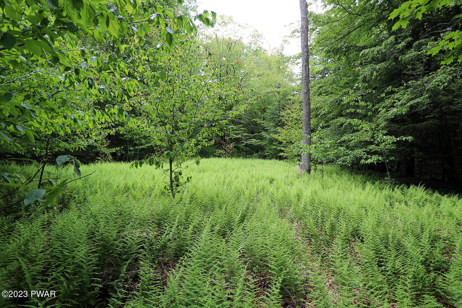 Lot D Spry Road Honesdale, PA 18431 - Photo 9 of 26