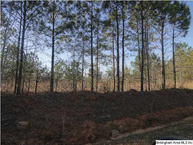 814 County Road, Unit 40 Wedowee, AL 36278 - Photo 5 of 9