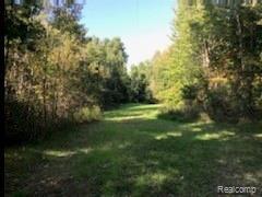 4923 Leix Road Mayville, MI 48744 - Photo 13 of 14