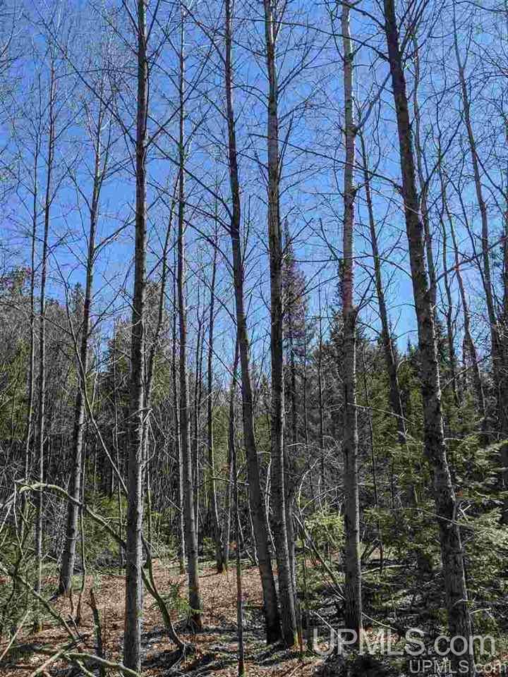 Tbd Off Leeman Road, Unit SENW NESW Sagola, MI 49881 - Photo 3 of 18