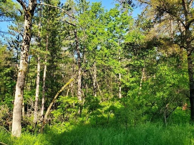 0 Quigley Road, Unit 40 ACRES QUIGLEY ROAD Alger, MI 48610 - Photo 5 of 8