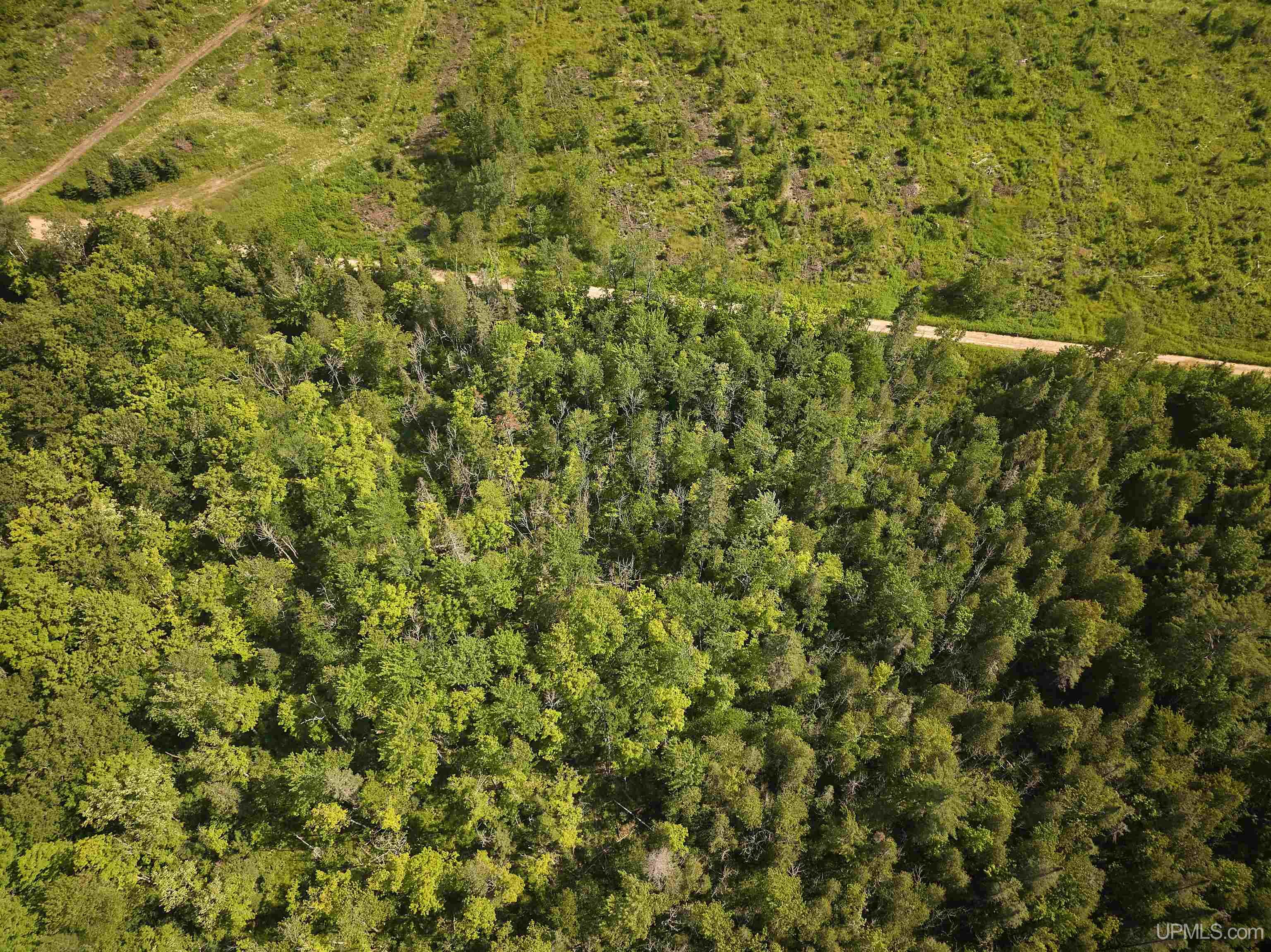 E968 McAfee Road Trenary, MI 49891 - Photo 18 of 19