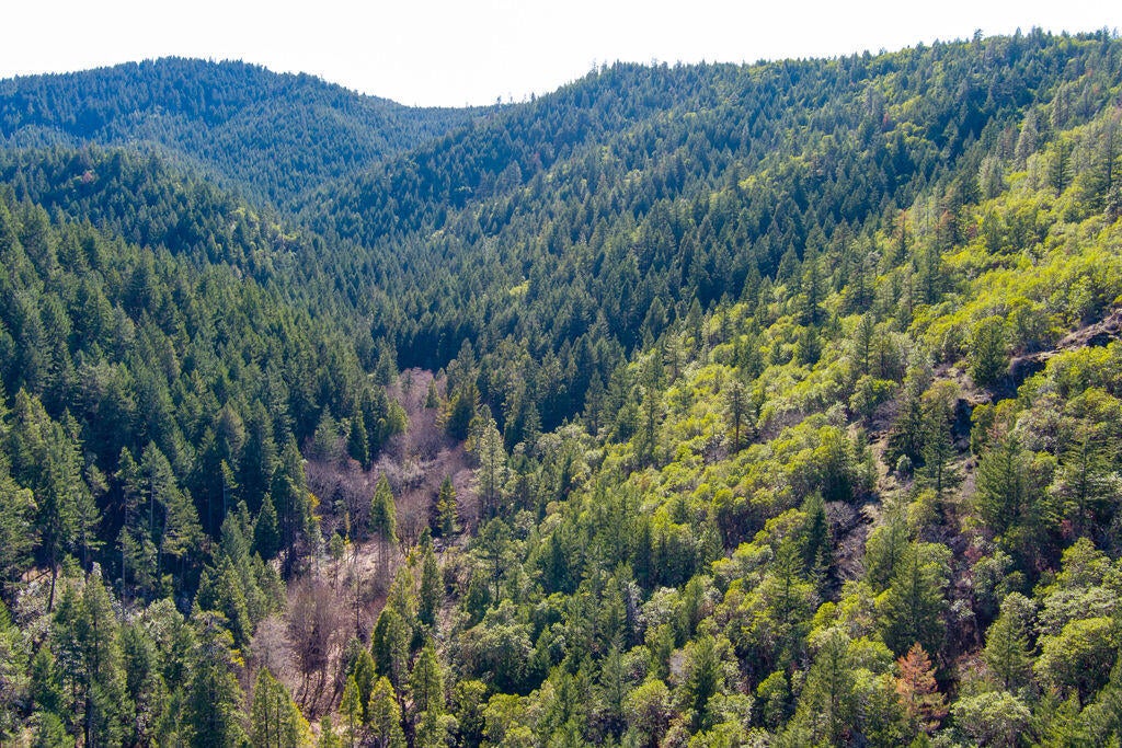 4832 Anderson Creek Road Talent, OR 97540 - Photo 31 of 39 ACR(42)