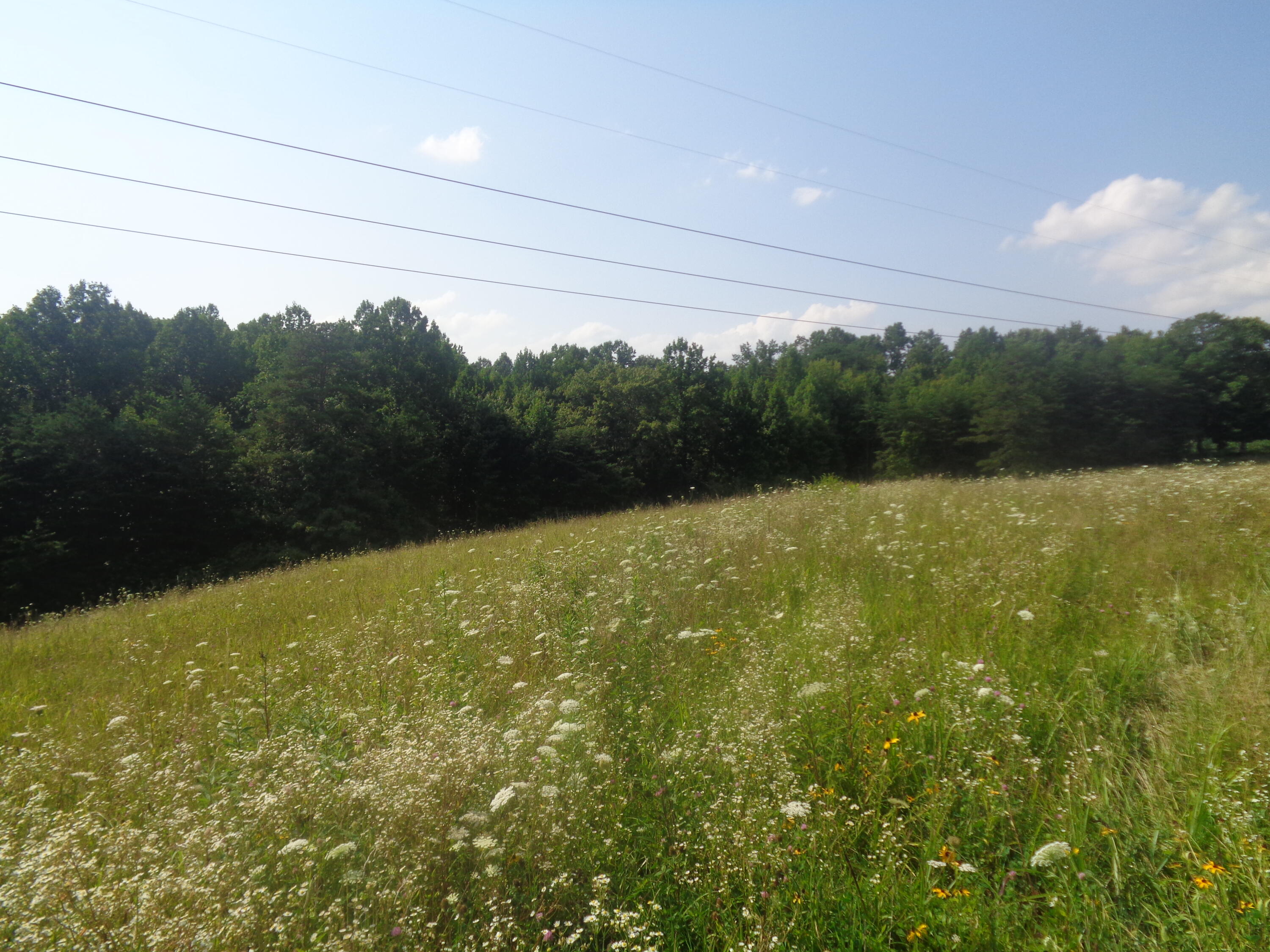 1468 County Farm Road London, KY 40741 - Photo 3 of 26 DSC05388