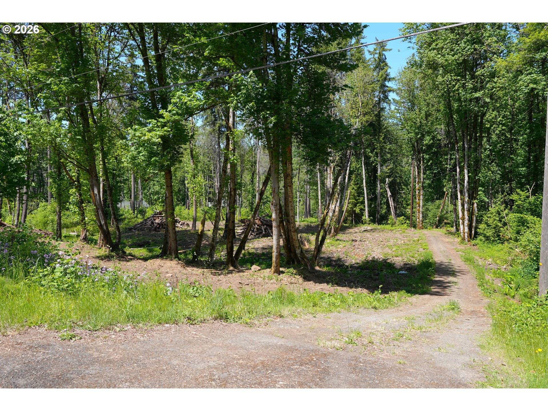 Goodpasture Road, Unit 1809 Vida, OR 97488 - Photo 6 of 24
