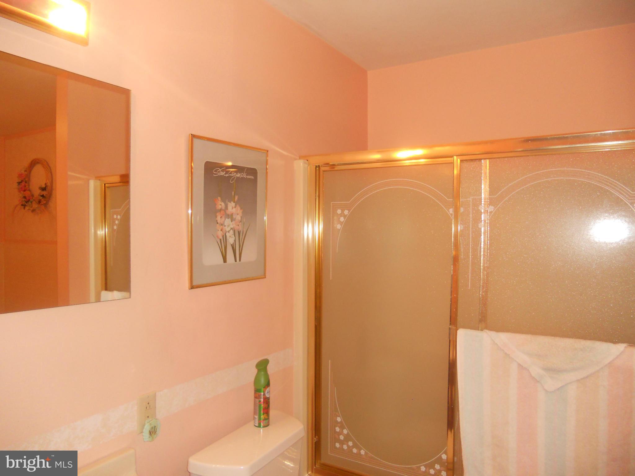 980 Mission Road Harpers Ferry, WV 25425 - Photo 19 of 30 Bath (Master)