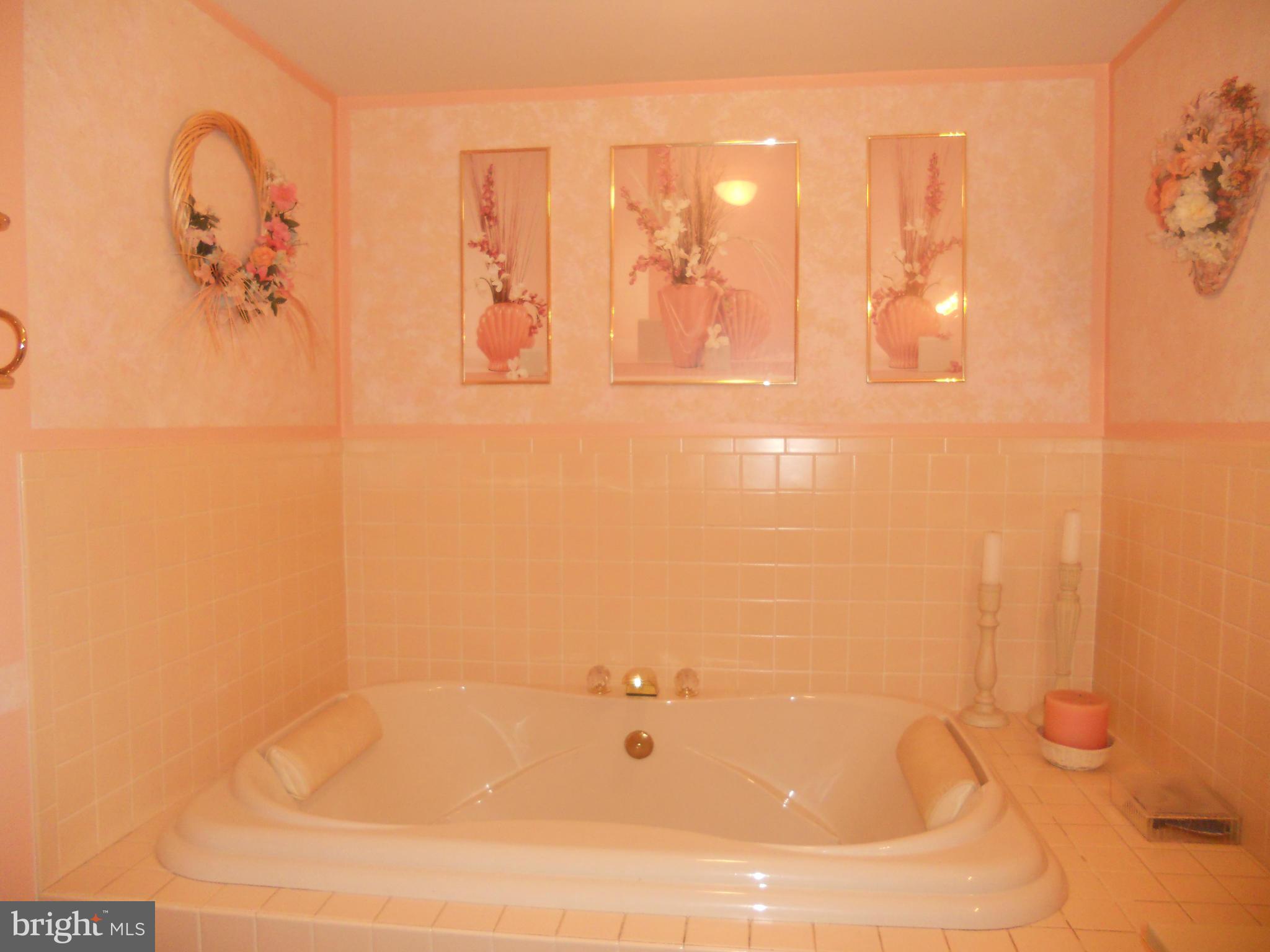980 Mission Road Harpers Ferry, WV 25425 - Photo 20 of 30 Bath (Master)