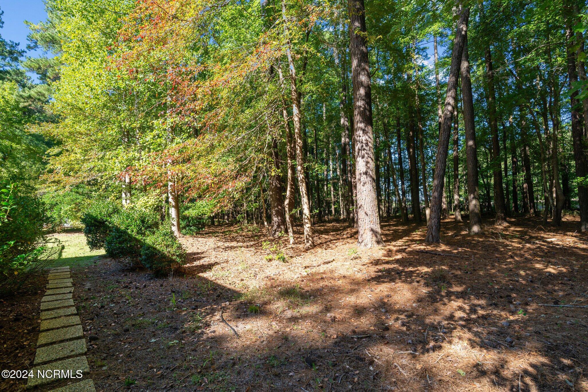 100 Rappahannock Drive Chocowinity, NC 27817 - Photo 46 of 53 046 Private Back Yard