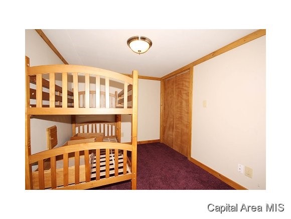 824 Independence Ridge Springfield, IL 62702 - Photo 23 of 24