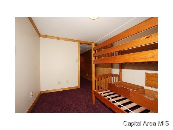 824 Independence Ridge Springfield, IL 62702 - Photo 24 of 24