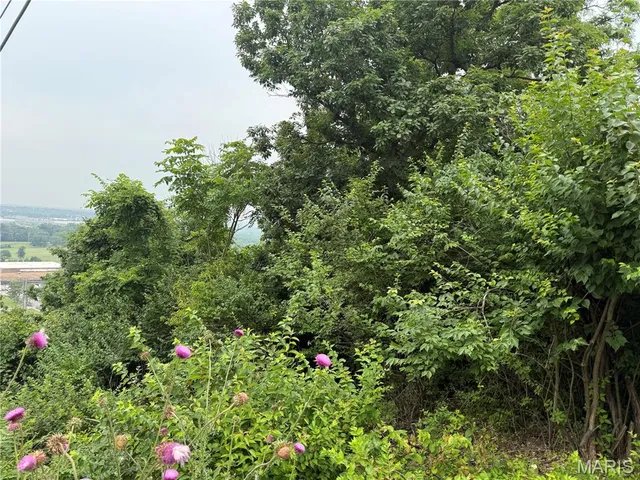 $69,900 | 13010 Big Bend Road, St. Louis, MO 63122