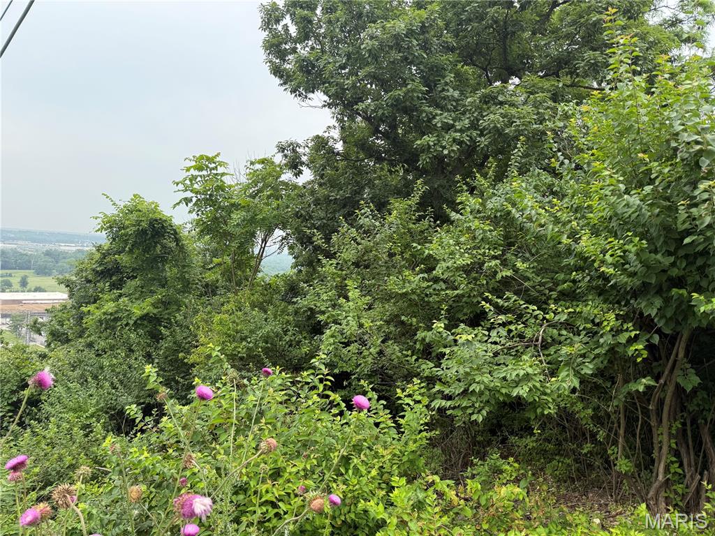 13010 Big Bend Road St. Louis, MO 63122 - Photo 2 of 4