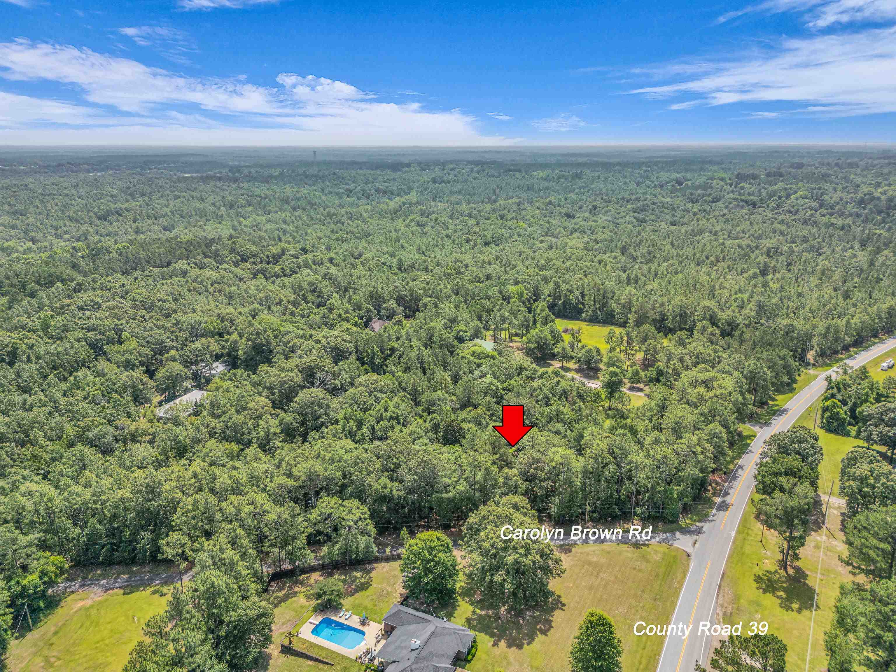 39 County Road 39 Stapleton, AL 36578 - Photo 8 of 16 Aerial View