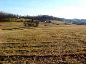 Lot35 Good Road Jonesborough, TN 37659 - Photo 4 of 4 Photo 4