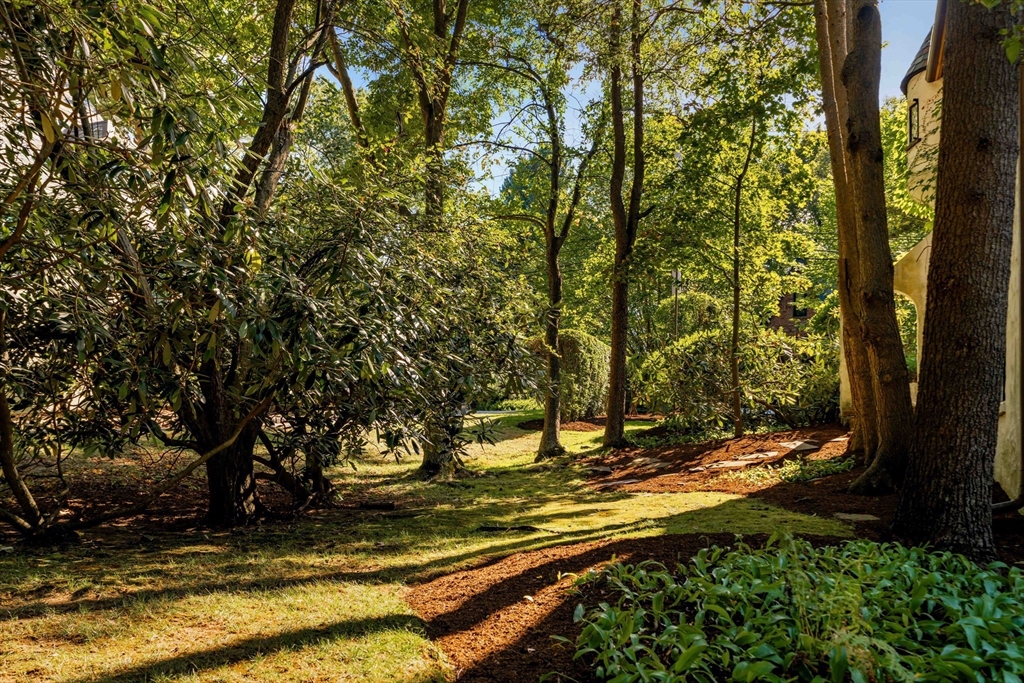 121 Dorset Road Newton, MA 02468 - Photo 35 of 36