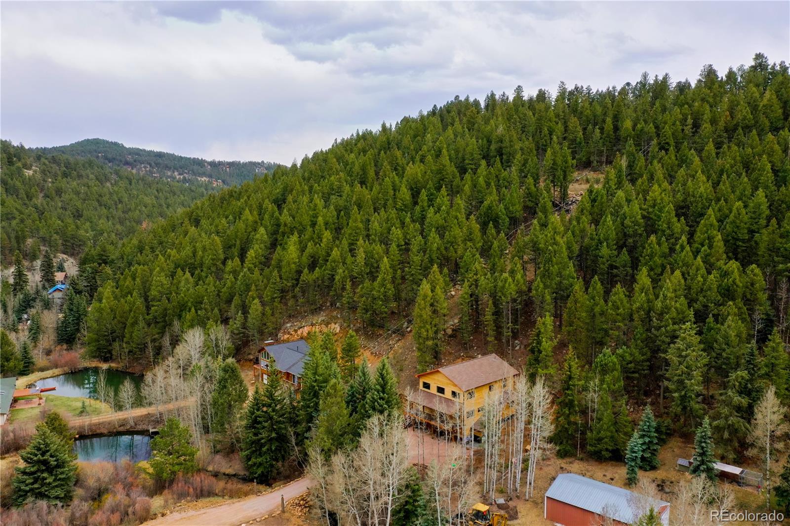 432 Brookside Drive Bailey, CO 80421 - Photo 36 of 39