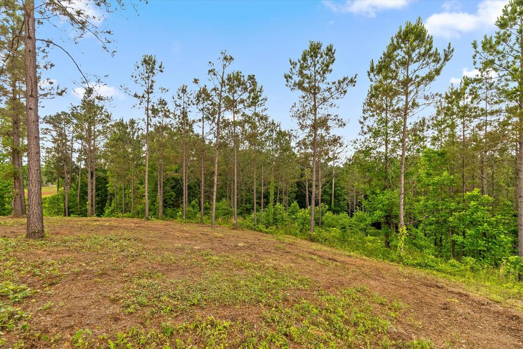 Lot 331 Twisted Oak Road Talking Rock, GA 30175 - Photo 9 of 38 Gallery Image 9