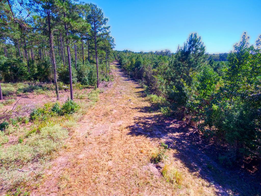 0 An County Road Palestine, TX 75801 - Photo 12 of 18