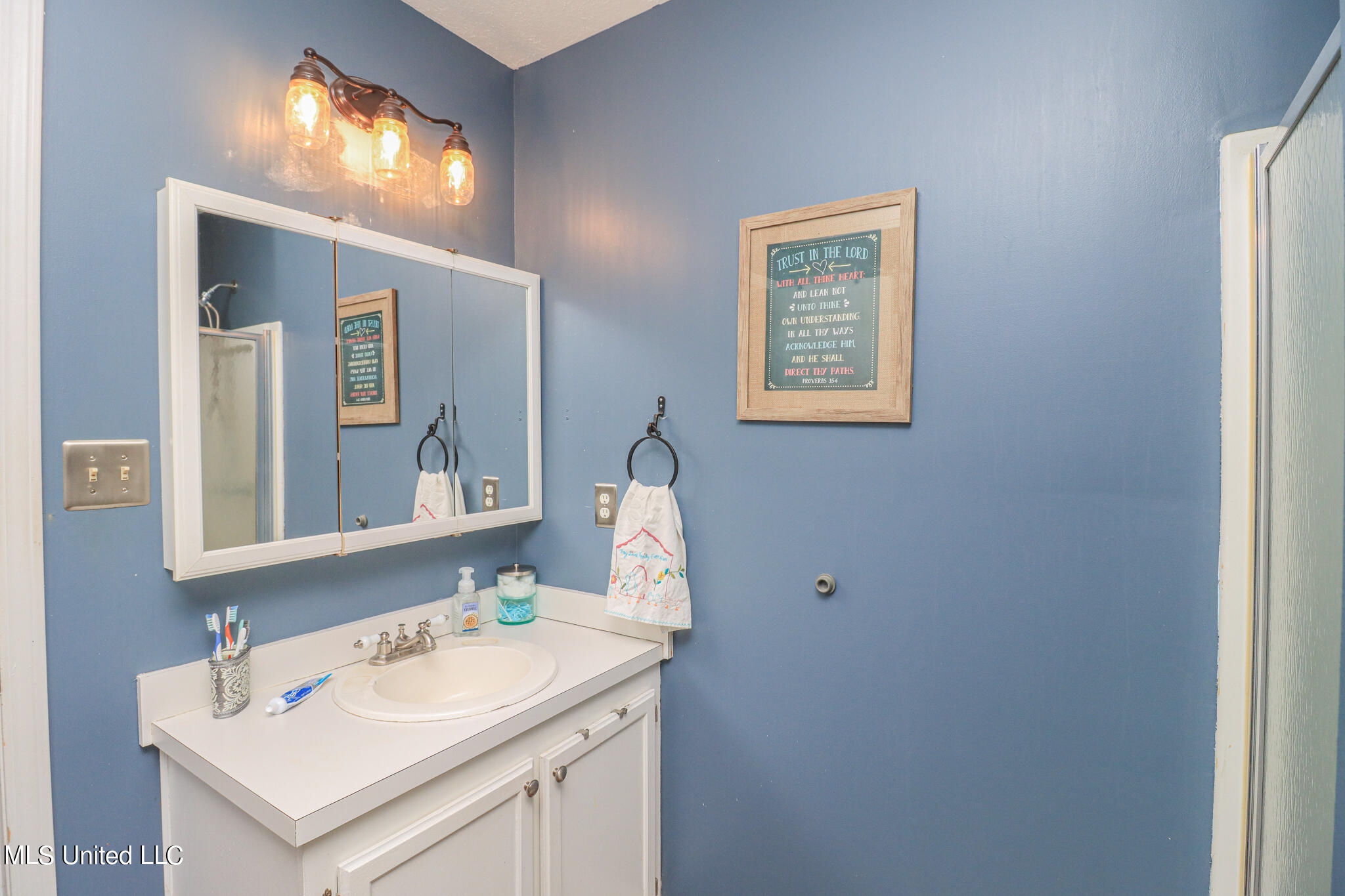 312 North Grove Circle Brandon, MS 39047 - Photo 25 of 33 312 n grove cir 26