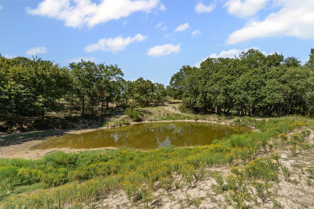 166 South Bronco Court Springtown, TX 76082 - Photo 38 of 40 a view of a lake view
