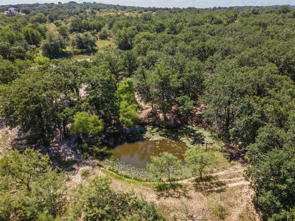 166 South Bronco Court Springtown, TX 76082 - Photo 7 of 40 a view of a yard with a plants and large trees