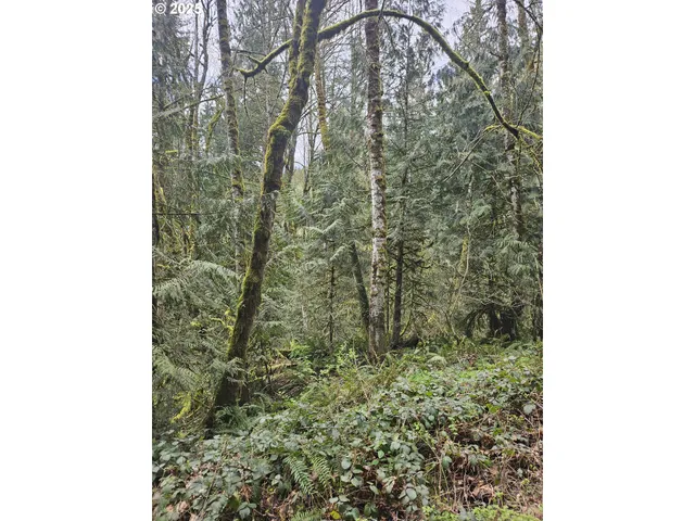 $75,000 | 201 Pin Creek Lane, Kelso, WA 98626