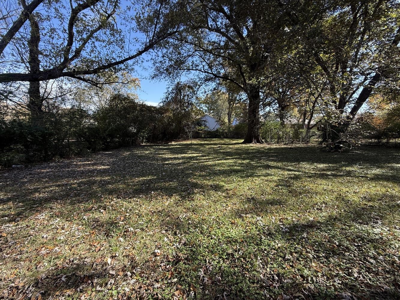 4900 Berta Road Memphis, TN 38109 - Photo 6 of 26 a view of outdoor space with trees