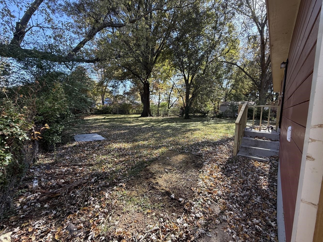 4900 Berta Road Memphis, TN 38109 - Photo 7 of 26 a view of a yard with large trees