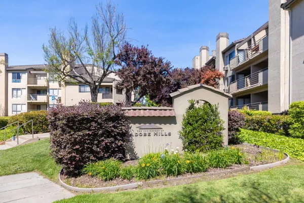 a front view of a multi story residential apartment building with yard and bench