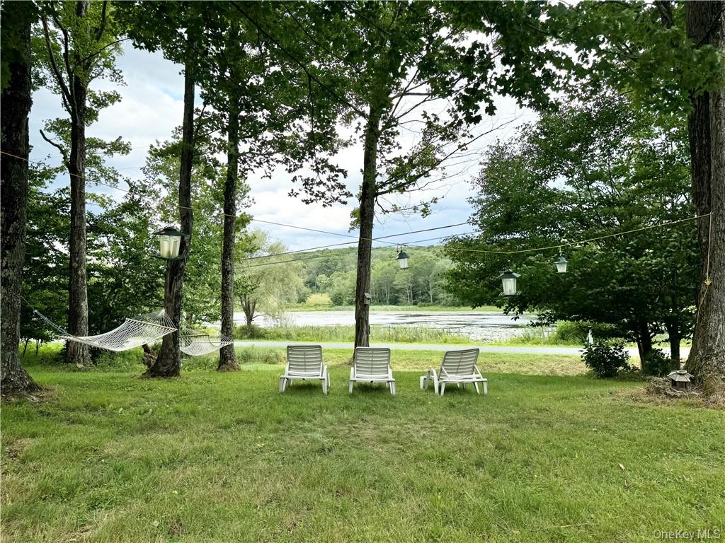 307 Beaver Lake Road Livingston Manor, NY 12758 - Photo 3 of 36 a view of a table and chairs in the garden