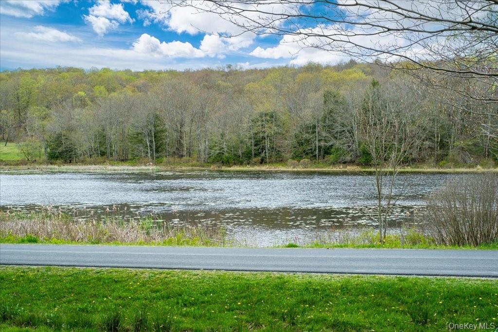 307 Beaver Lake Road Livingston Manor, NY 12758 - Photo 4 of 36 a view of a yard with a lake