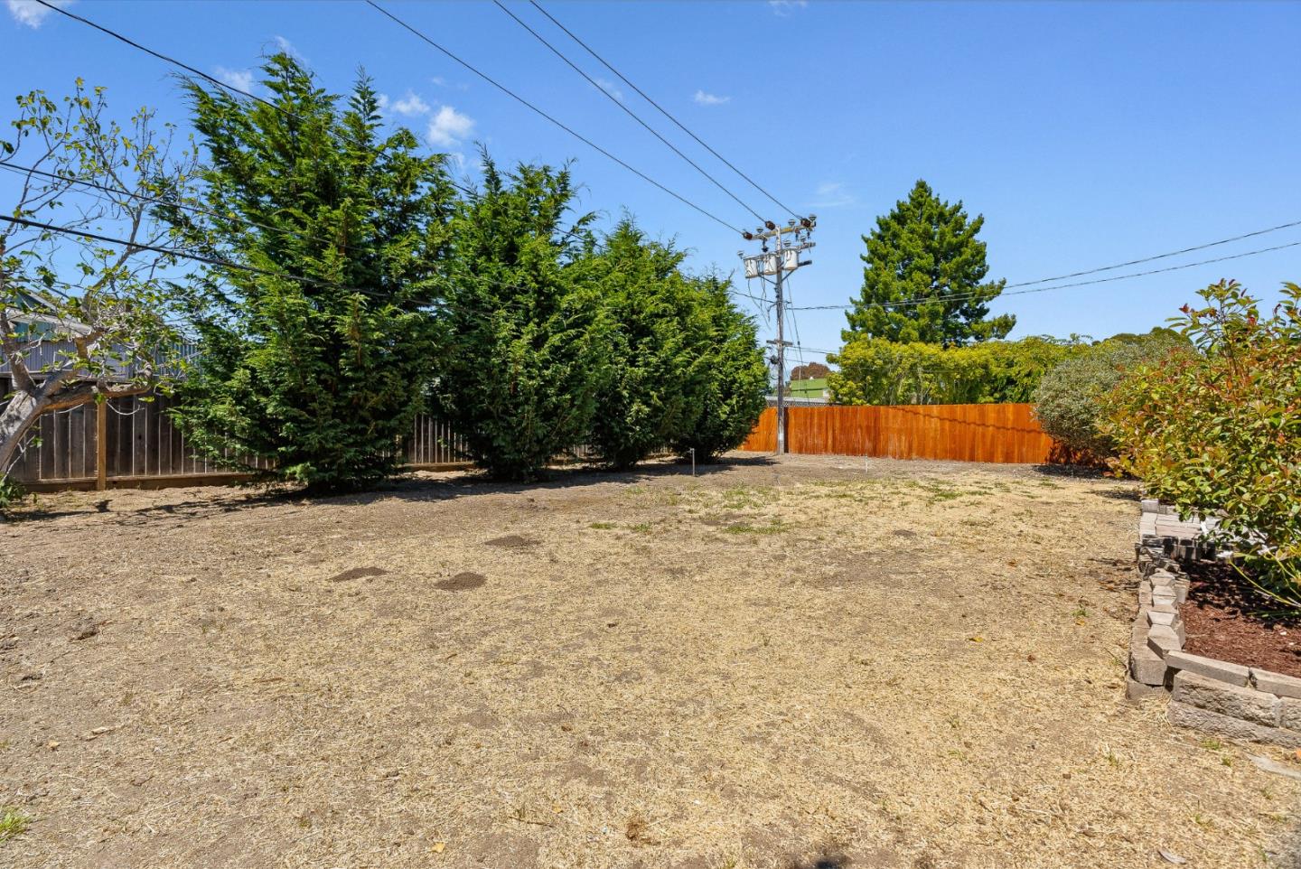 829 Monterey Avenue Capitola, CA 95010 - Photo 30 of 59 a view of a yard with potted plants and large trees