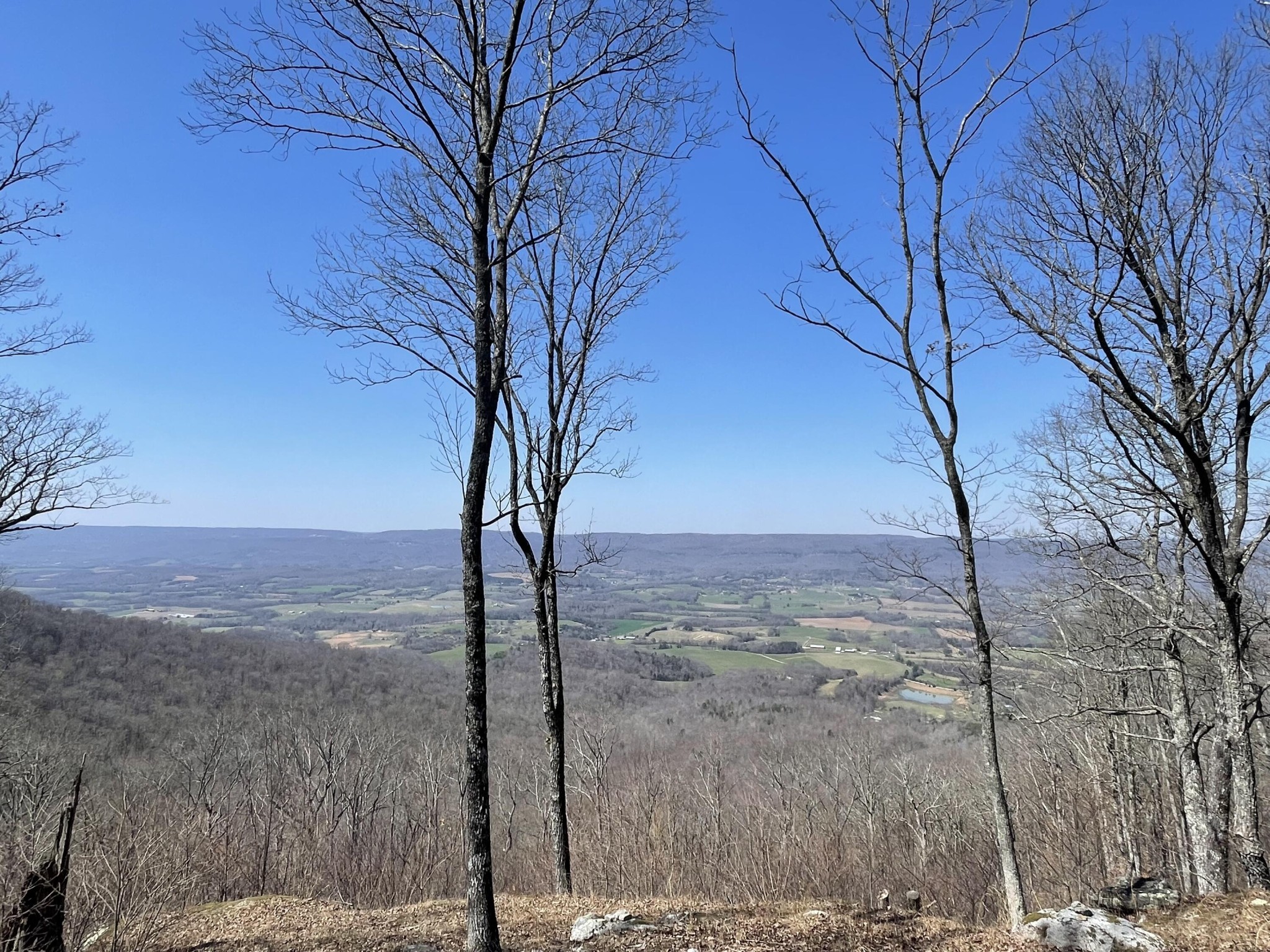 1 Porch Rock Road Pikeville, TN 37367 - Photo 2 of 19 Gallery Image 2