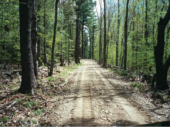 0 Off Houghton Ledge Road Sullivan, NH 03445 - Photo 1 of 1