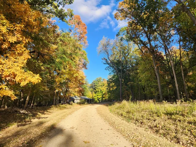 a view of a yard covered in snow