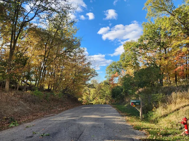 a view of a yard with plants and trees