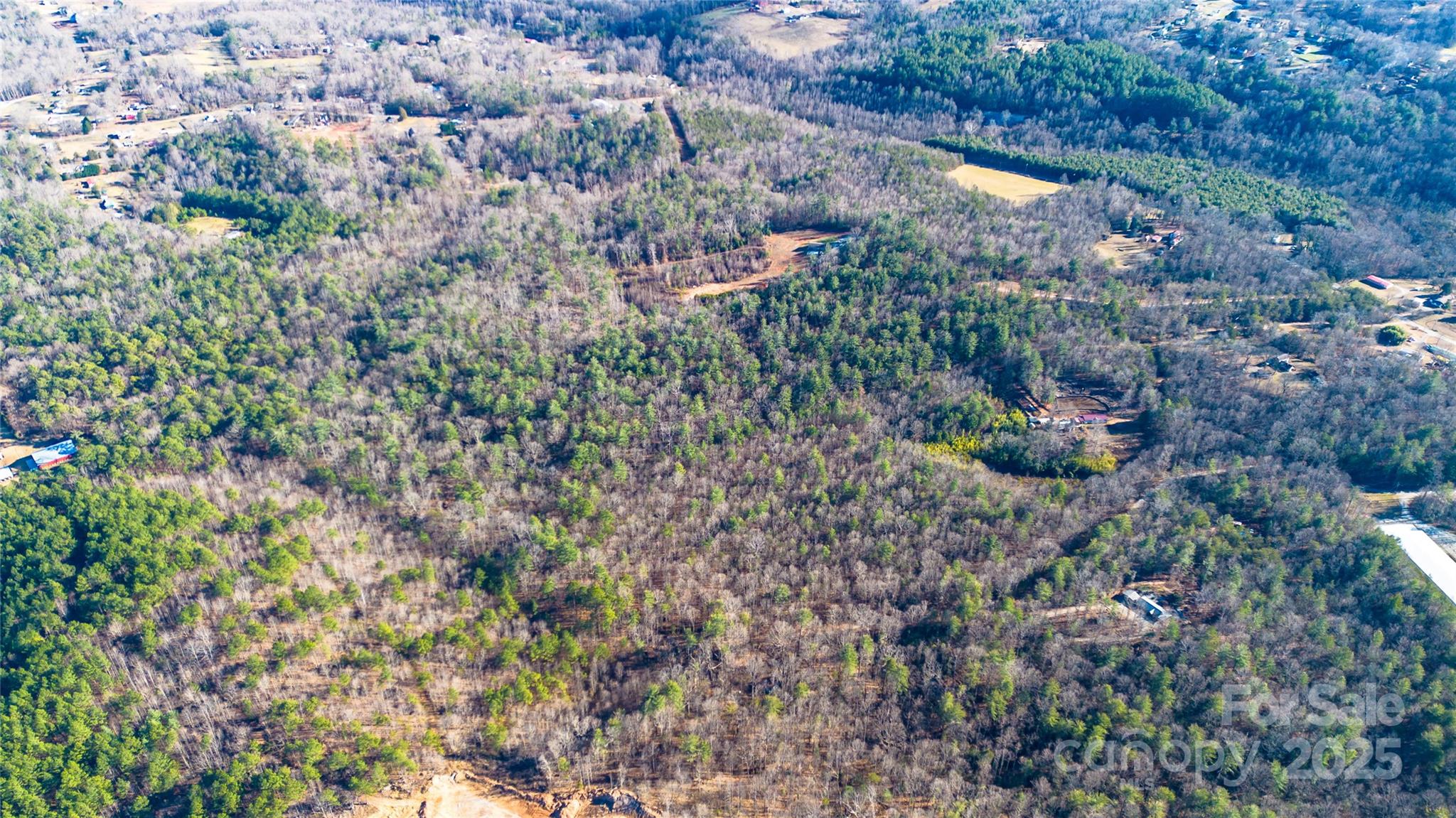 0 Amherst Road Morganton, NC 28655 - Photo 12 of 14 a view of a plants of residential house