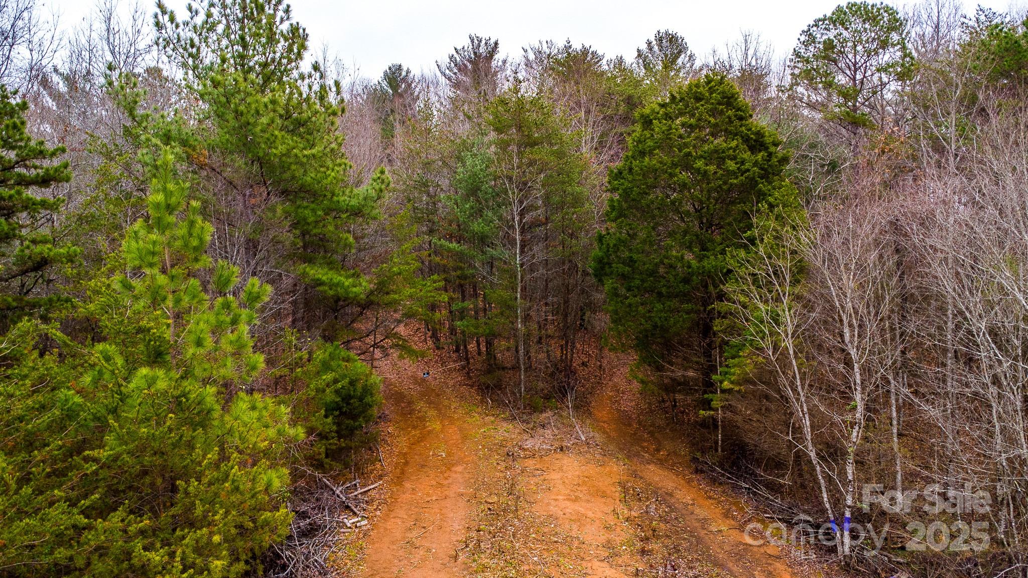 0 Amherst Road Morganton, NC 28655 - Photo 2 of 14 a view of a yard with trees