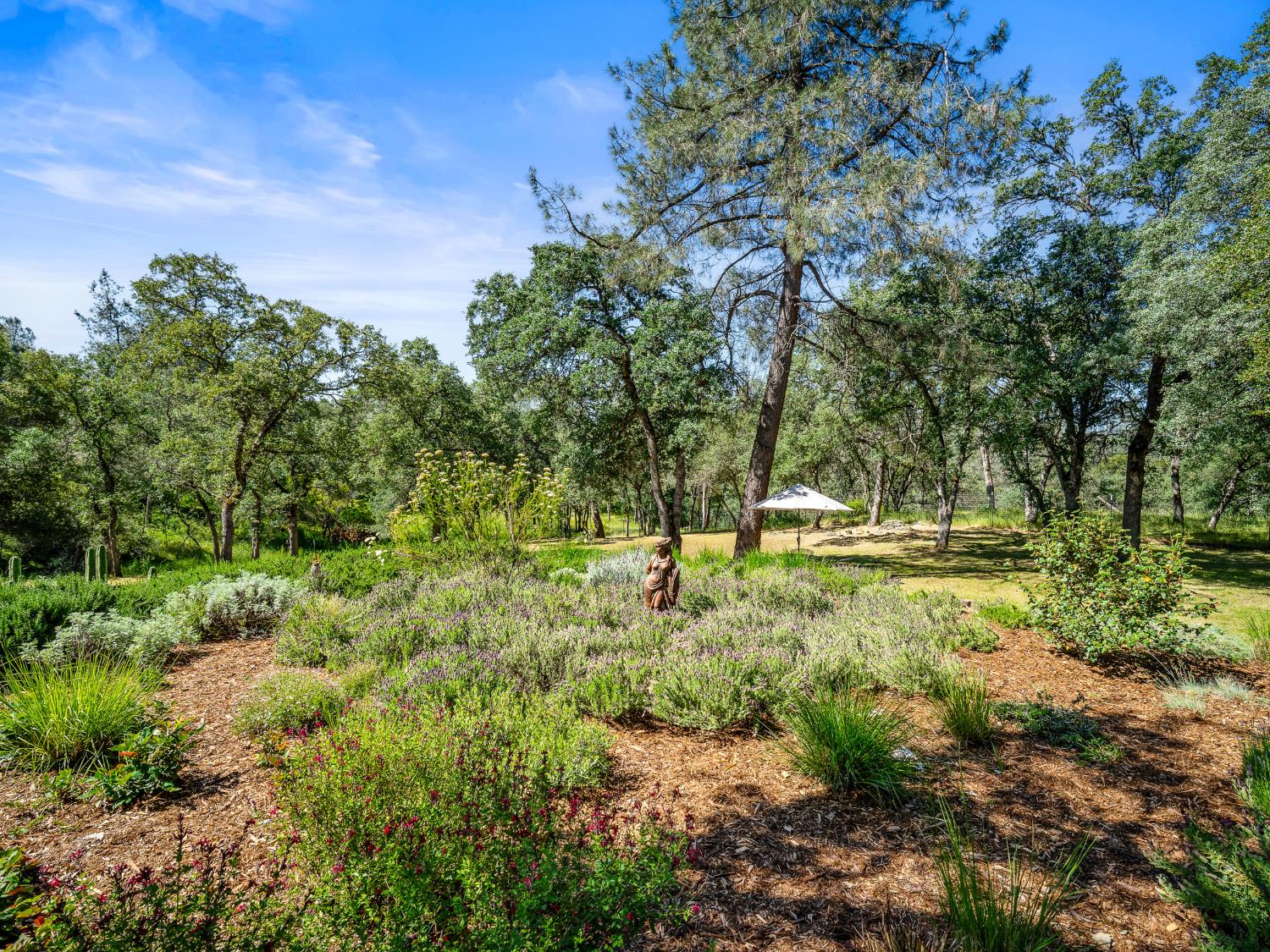 5080 Gold Hill Road Placerville, CA 95667 - Photo 41 of 63