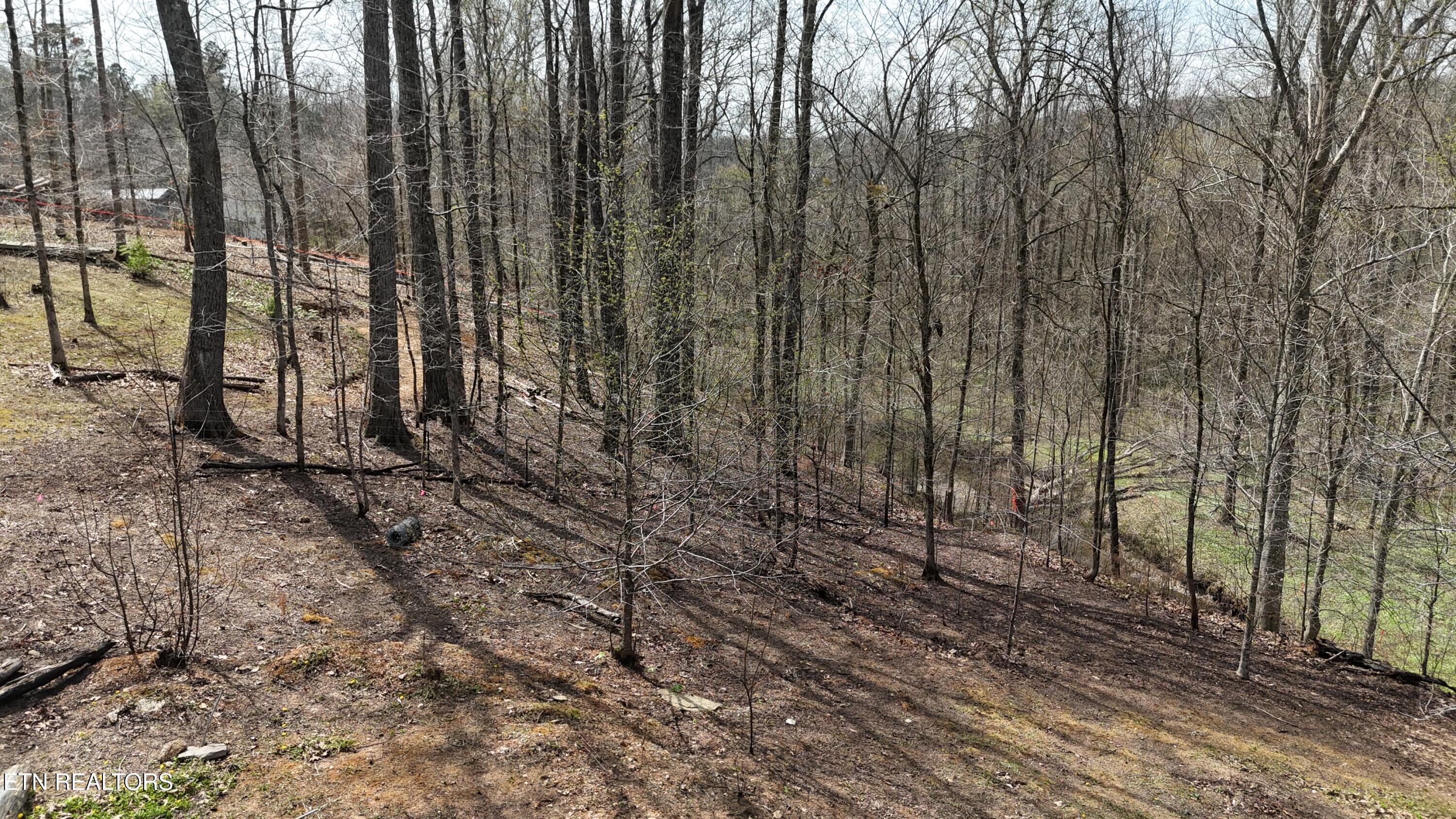 561 Geren Subdivision Lane Decatur, TN 37322 - Photo 2 of 8 dji_fly_20260325_133700_0247_17745556722