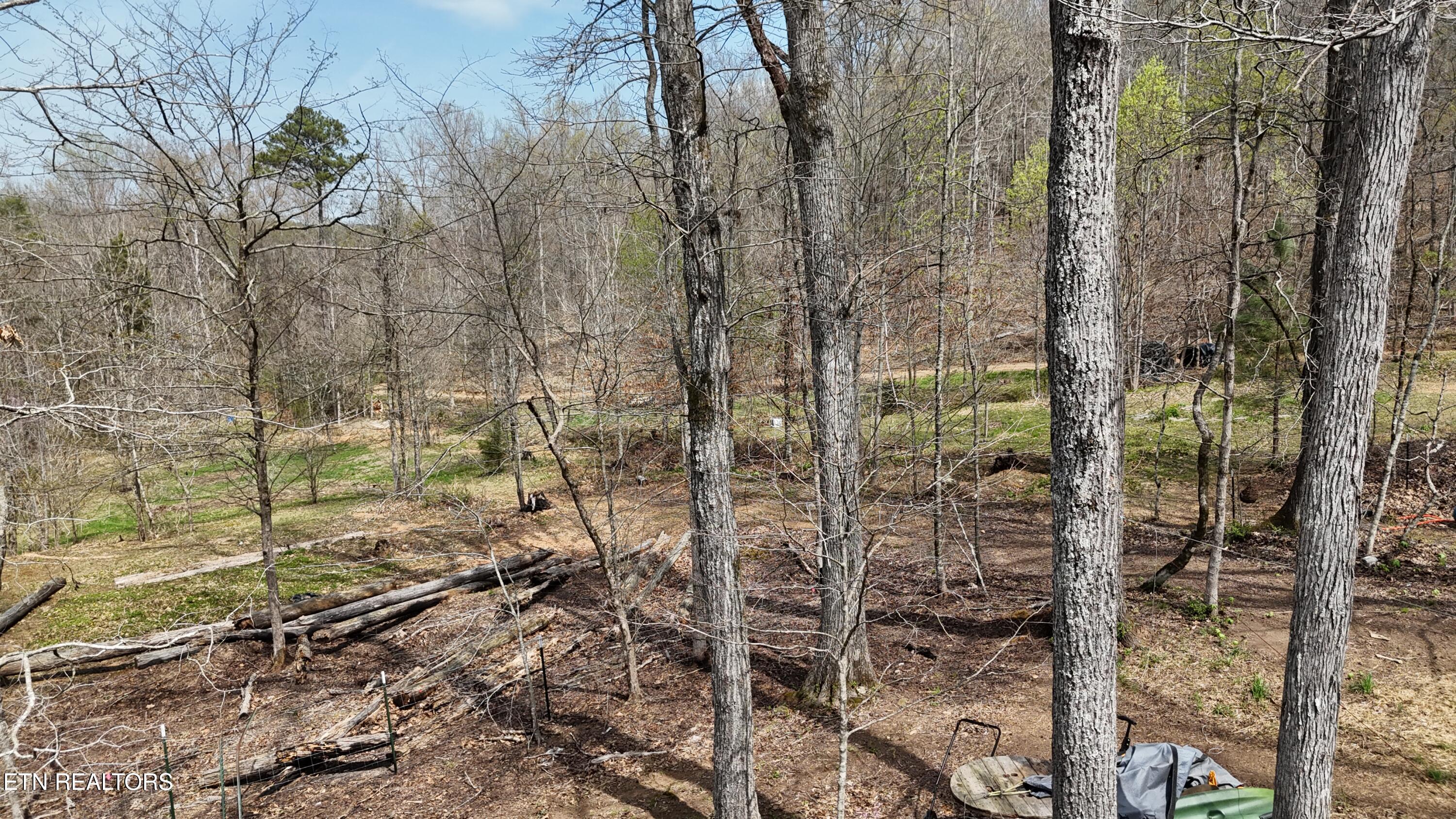 561 Geren Subdivision Lane Decatur, TN 37322 - Photo 3 of 8 dji_fly_20260325_133636_0246_17745556737