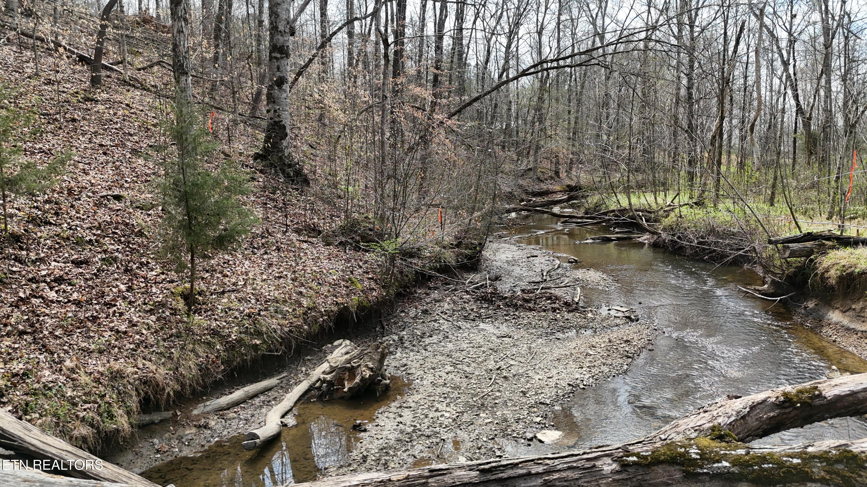 561 Geren Subdivision Lane Decatur, TN 37322 - Photo 4 of 8 dji_fly_20260325_133912_0252_17745556634