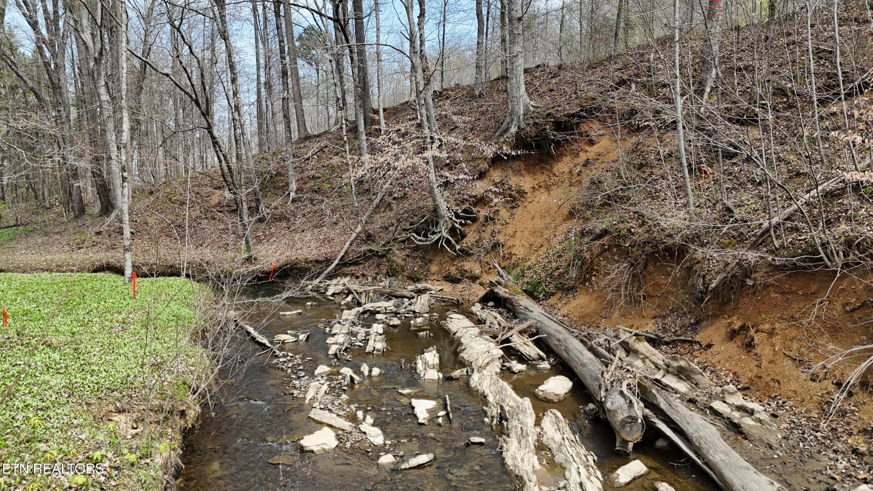 561 Geren Subdivision Lane Decatur, TN 37322 - Photo 8 of 8 dji_fly_20260325_133906_0251_17745556647
