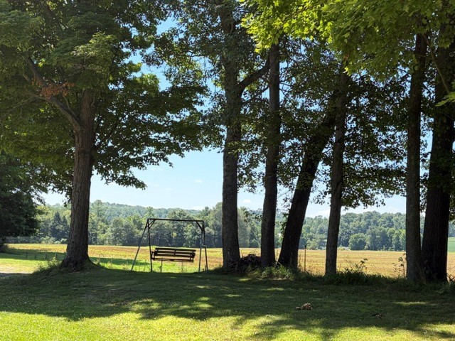 681 Bagdad Road Waterford, PA 16441 - Photo 22 of 26 Gallery Image 22