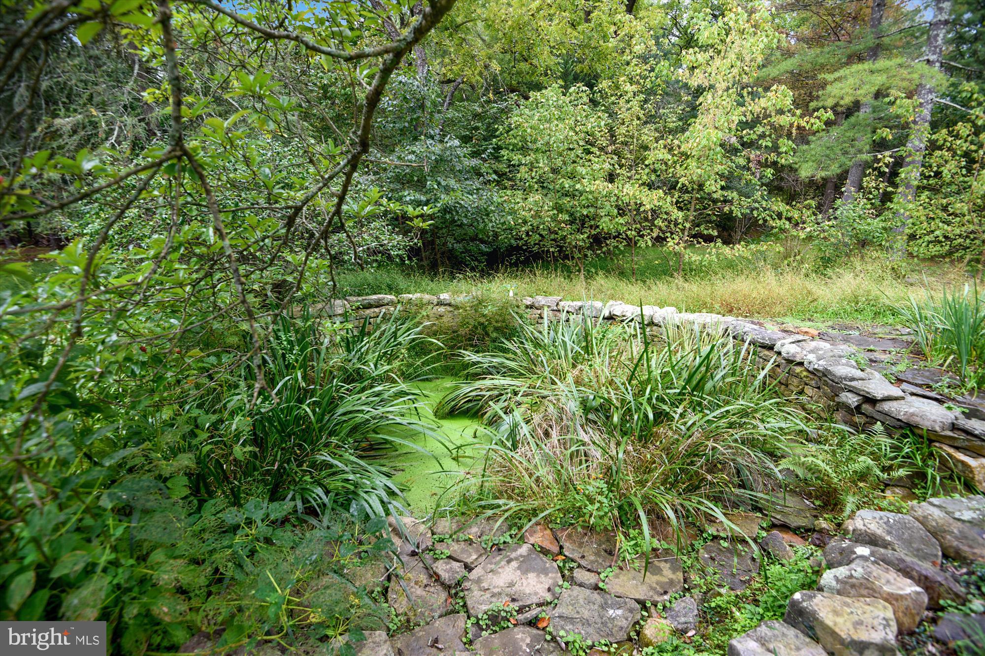 18279 Foundry Road Purcellville, VA 20132 - Photo 29 of 33 Gallery Image 29