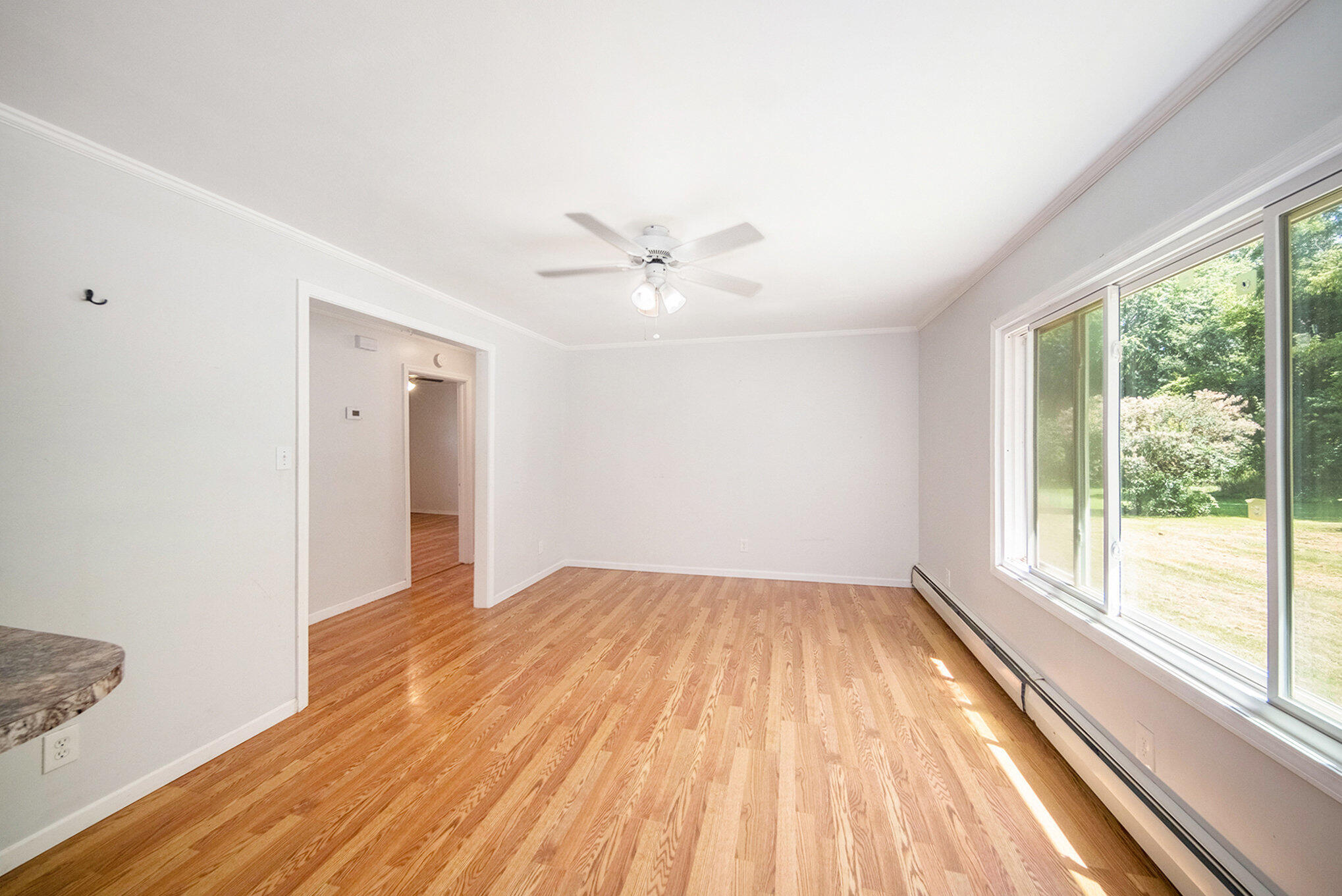4881 Styles Road Pleasant Lake, MI 49272 - Photo 6 of 38 011_sbp_69_562