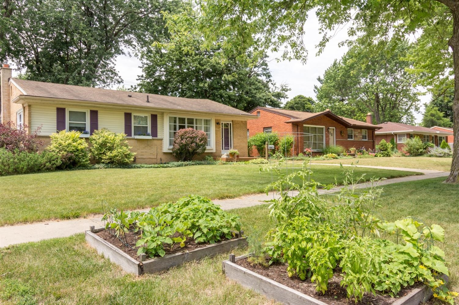 838 Juneau Road Ypsilanti, MI 48198 - Photo 3 of 10 Photo 3