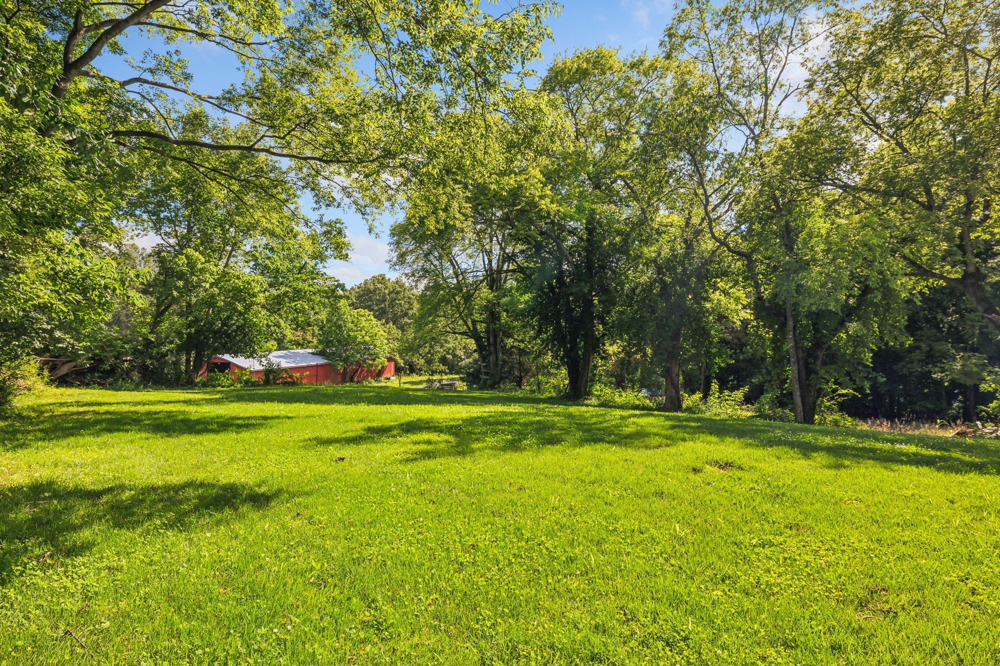 1816 Cunningham Ridge Clarksville, TN 37040 - Photo 31 of 32 a yard with trees in the background